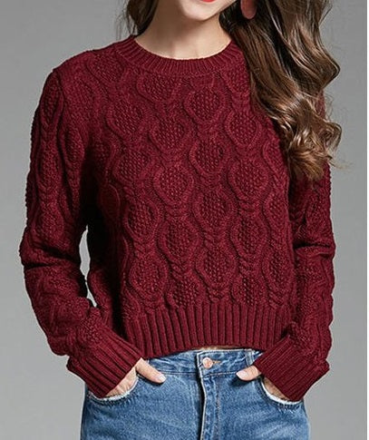 Women High Neck Long Sleeve Solid Elegant Sweater    C1616TCSW